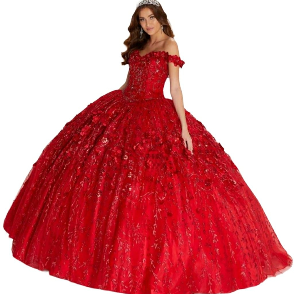 Quinceanera or sweet sixteen Ball Gown